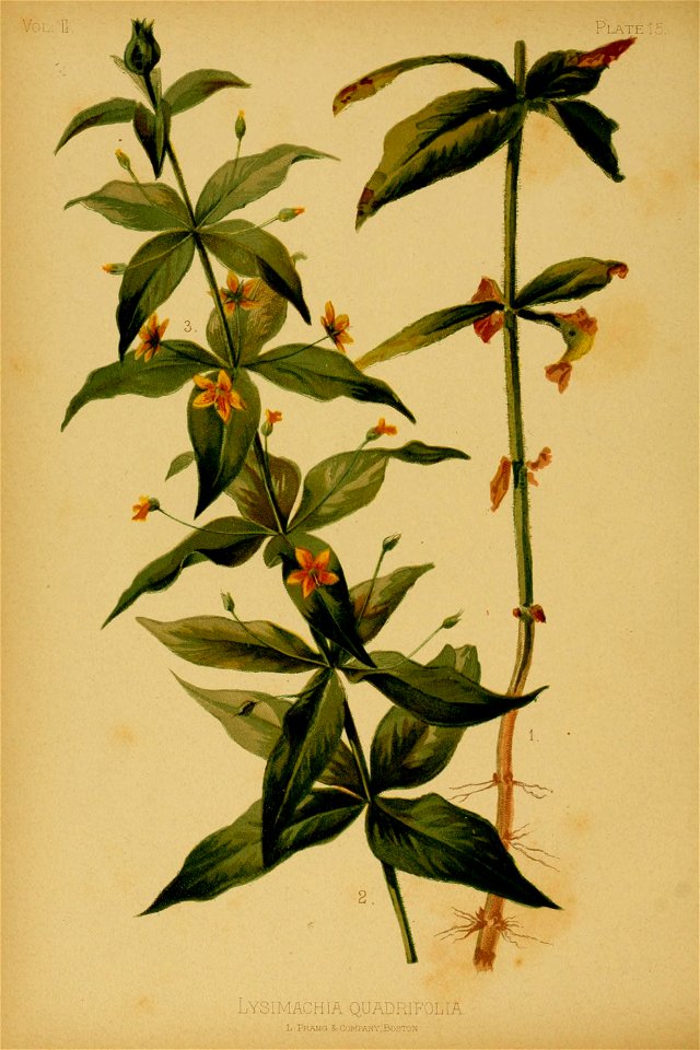 n99_w1150