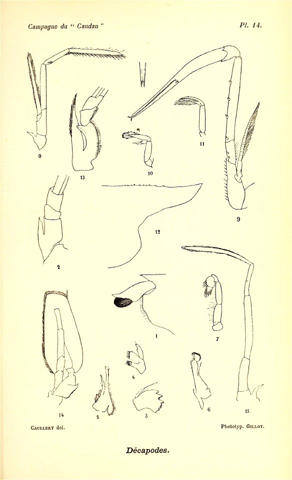 n796_w1150