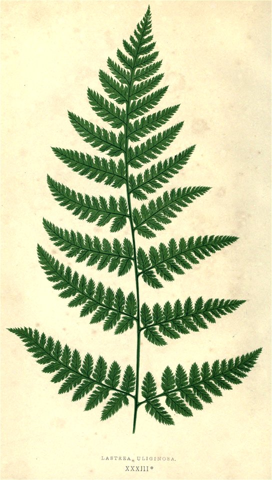 n407_w1150