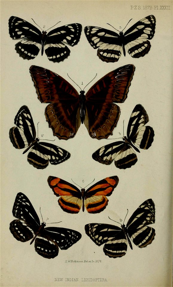 n639_w1150