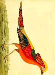 n122_w1150