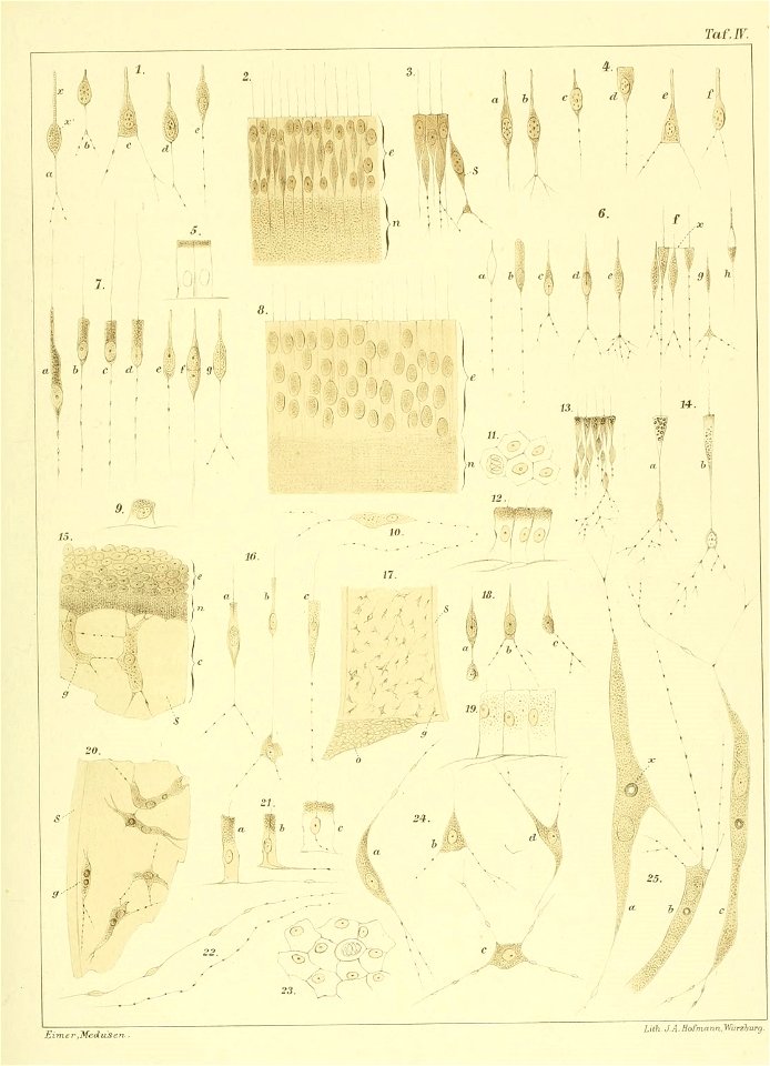 n314_w1150