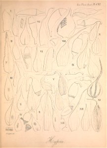 n122_w1150