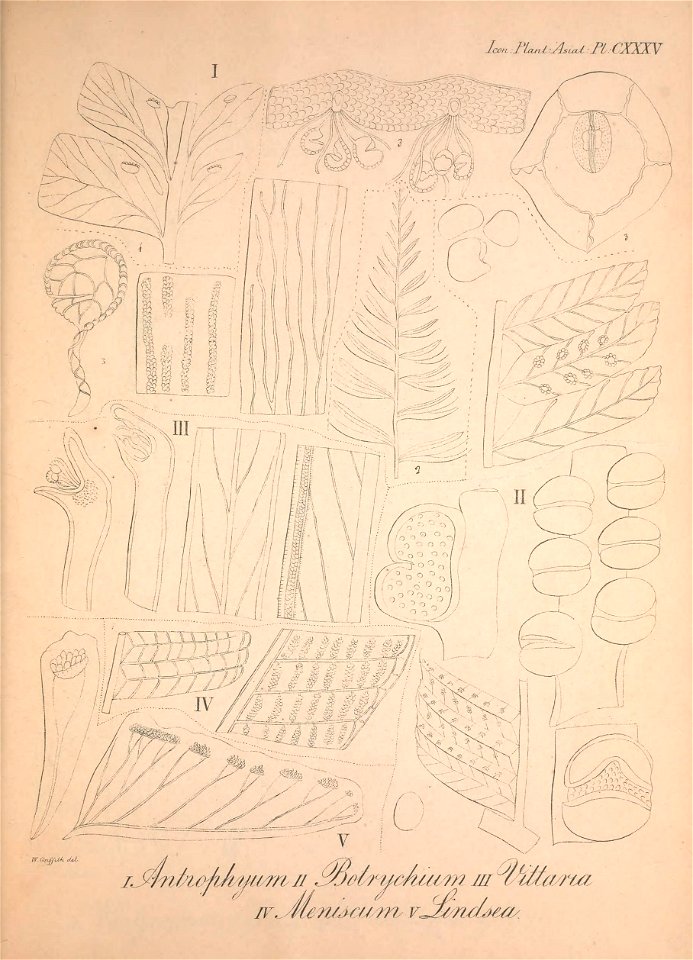 n182_w1150