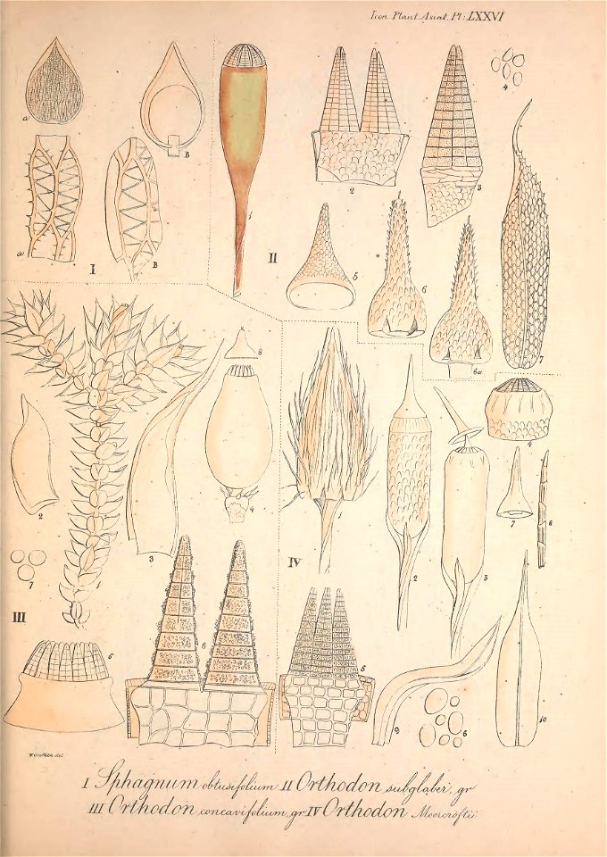 n62_w1150