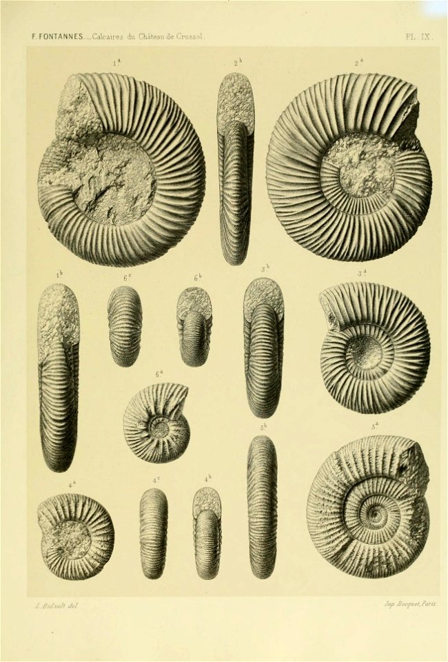 n176_w1150
