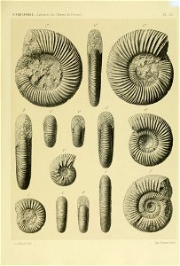 n176_w1150