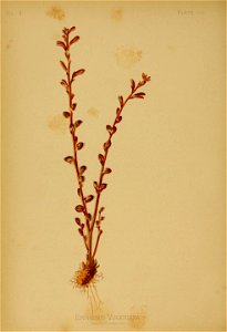 n153_w1150