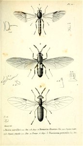 n268_w1150