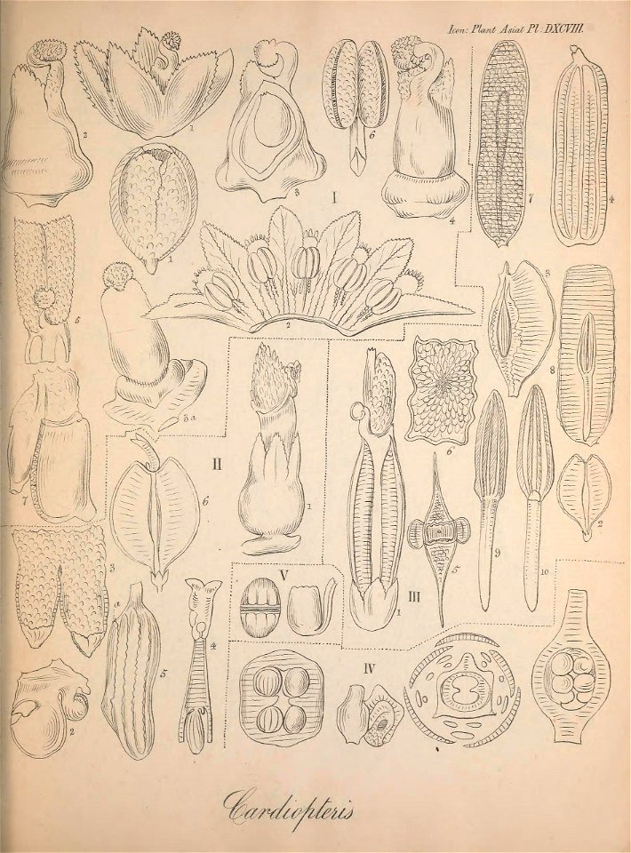 n504_w1150