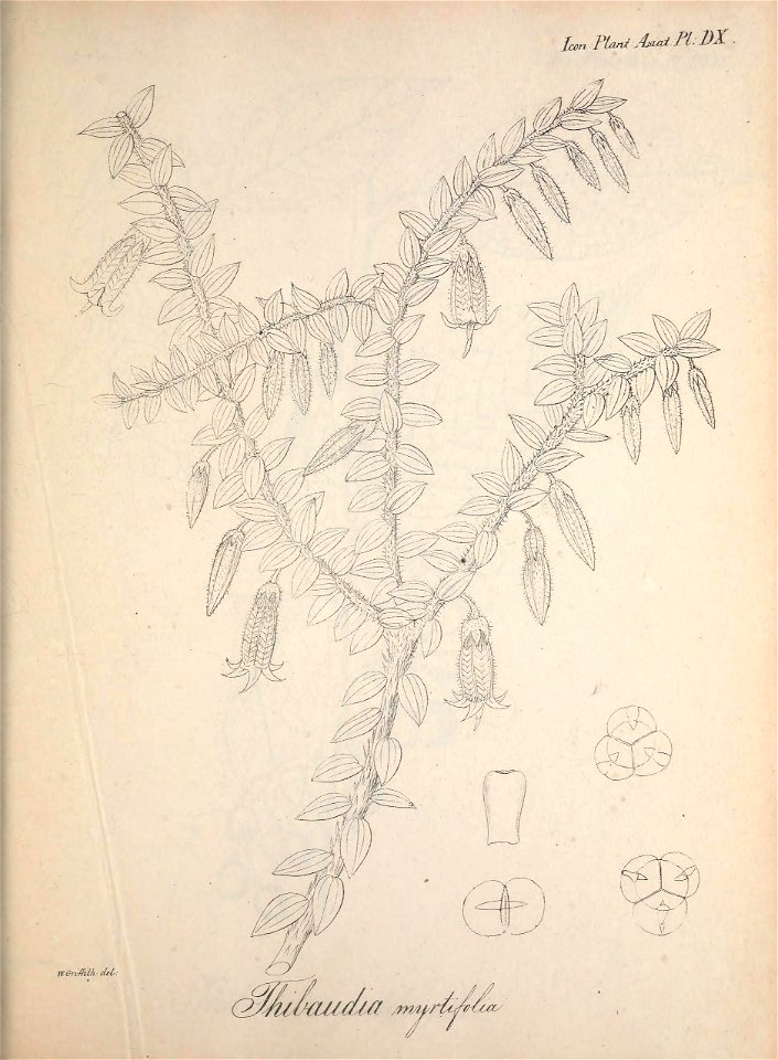 n324_w1150