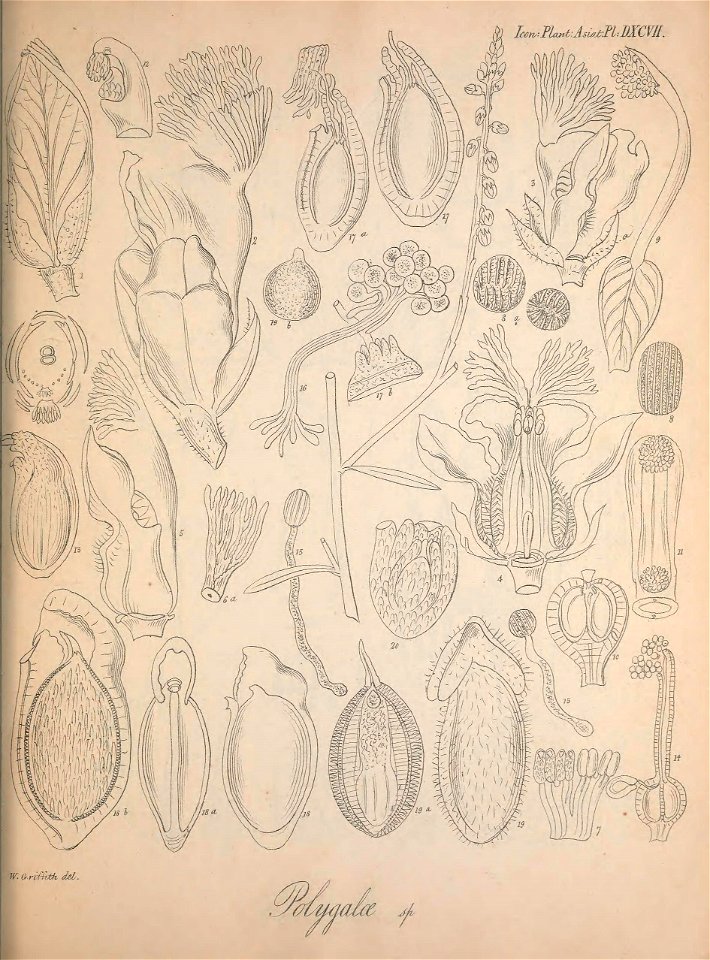n502_w1150