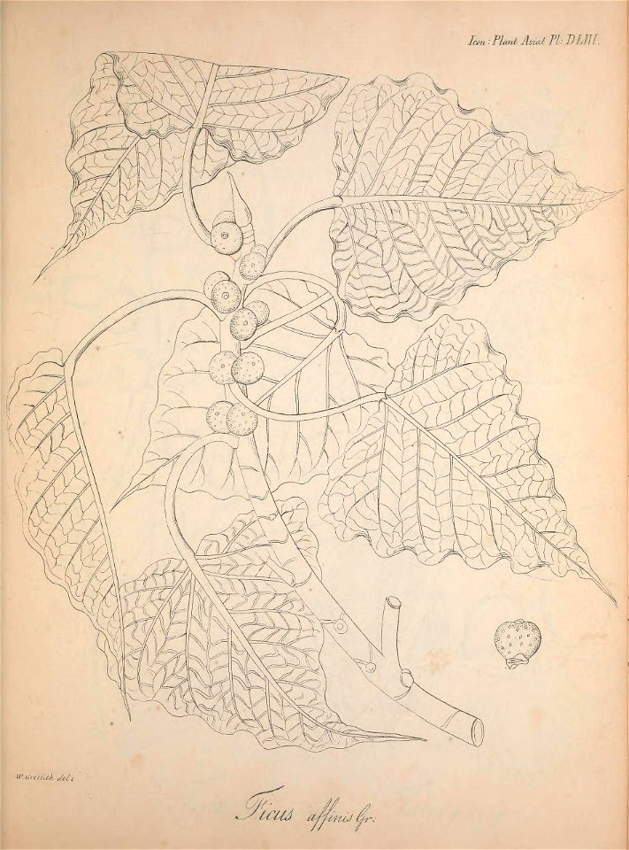 n412_w1150