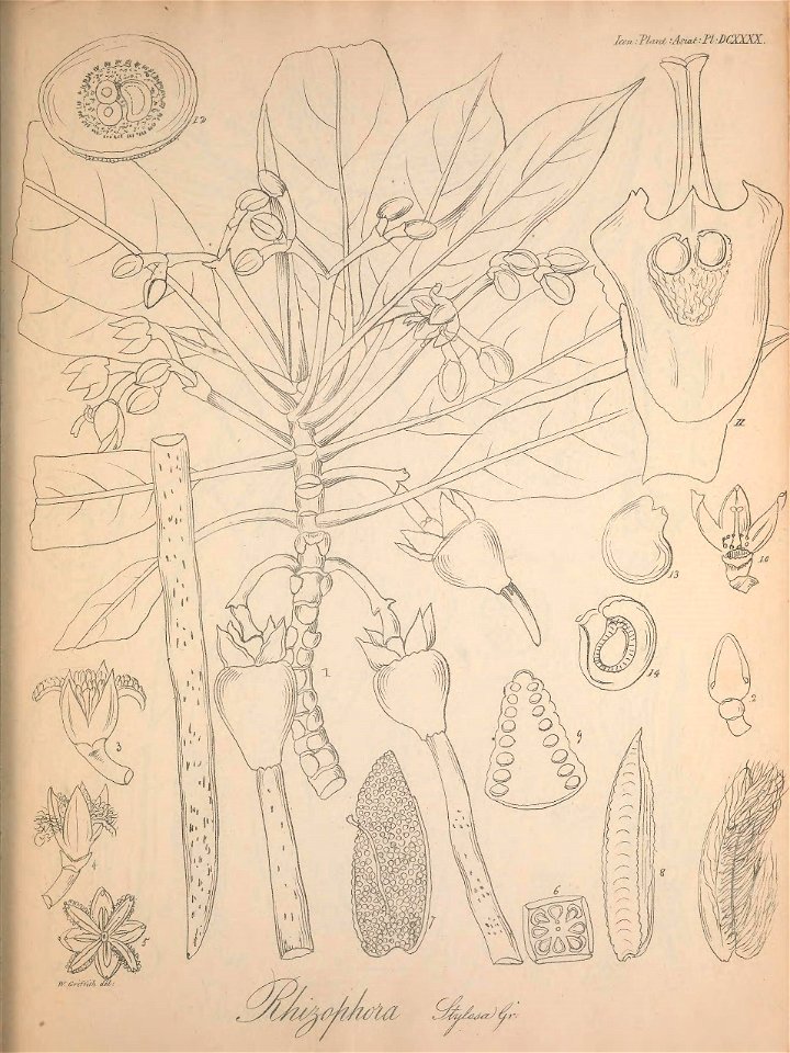 n590_w1150