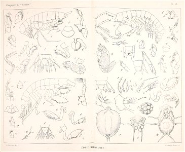 n908_w1150