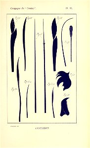 n818_w1150
