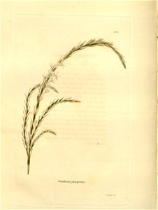 n158_w1150