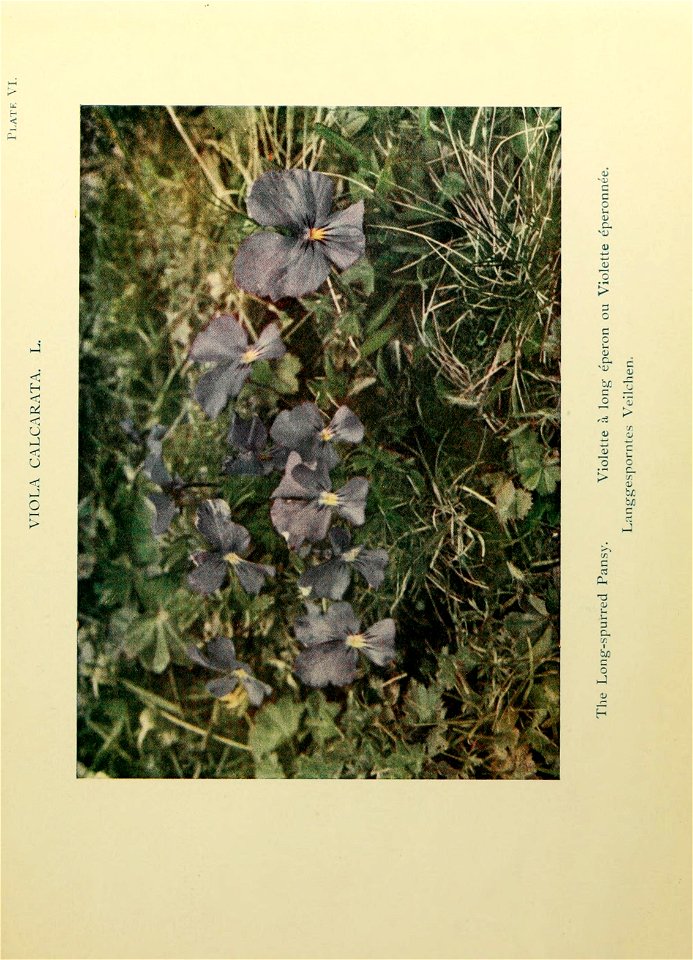 n56_w1150