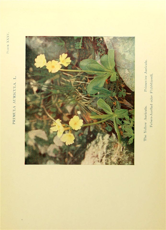 n174_w1150