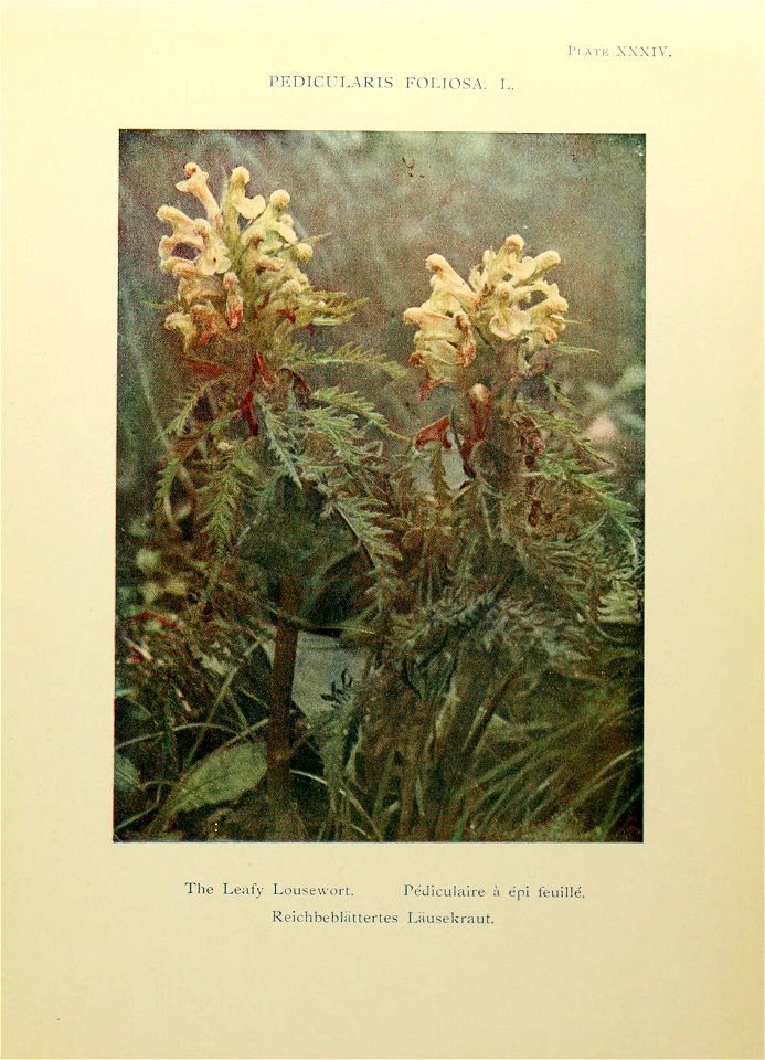 n170_w1150