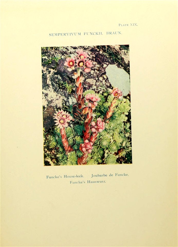 n108_w1150