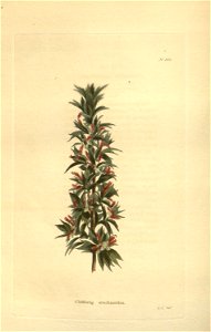 n139_w1150