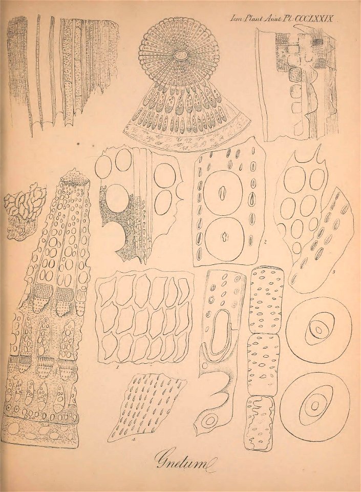 n56_w1150