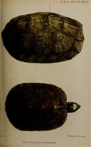 n378_w1150