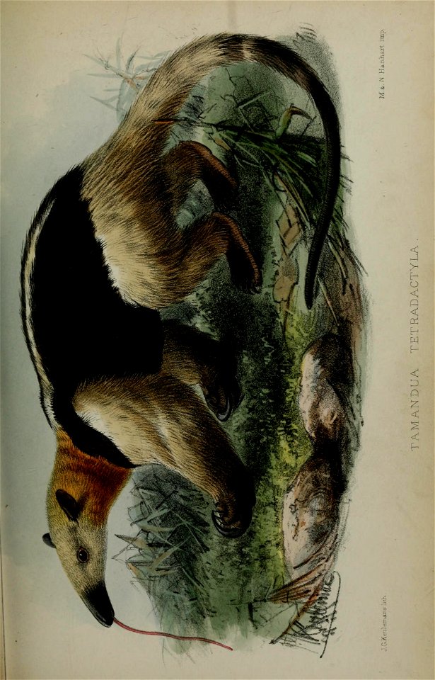 n658_w1150