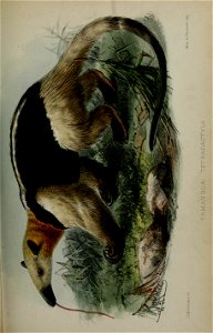 n658_w1150