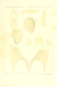n274_w1150