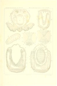 n154_w1150