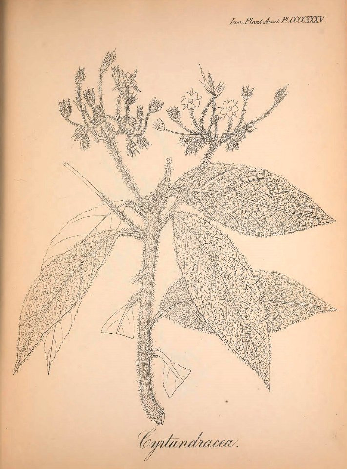 n174_w1150