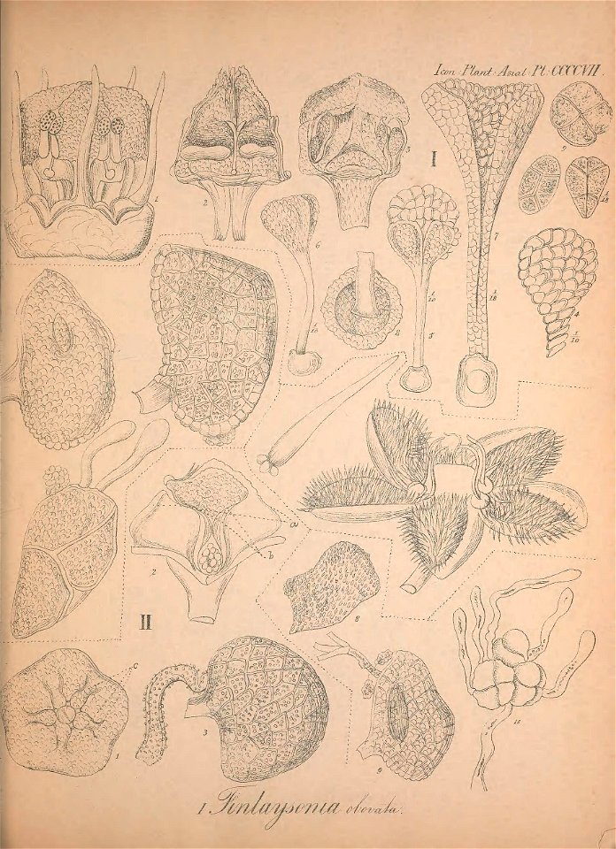 n112_w1150