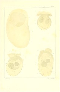 n300_w1150