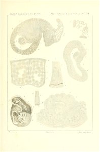 n178_w1150