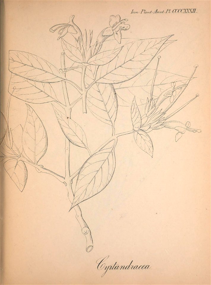 n168_w1150