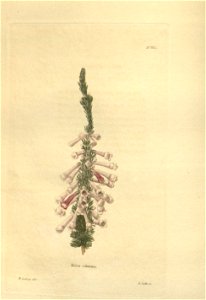 n59_w1150