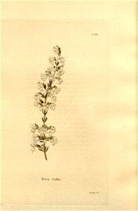n202_w1150