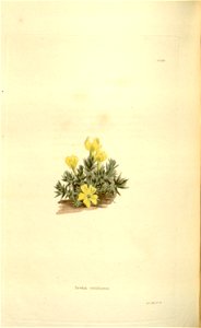 n139_w1150
