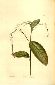 n103_w1150