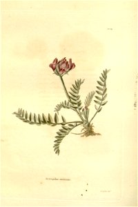n122_w1150