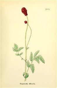 n178_w1150