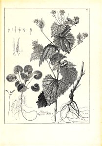 n58_w1150