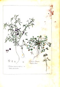 n139_w1150