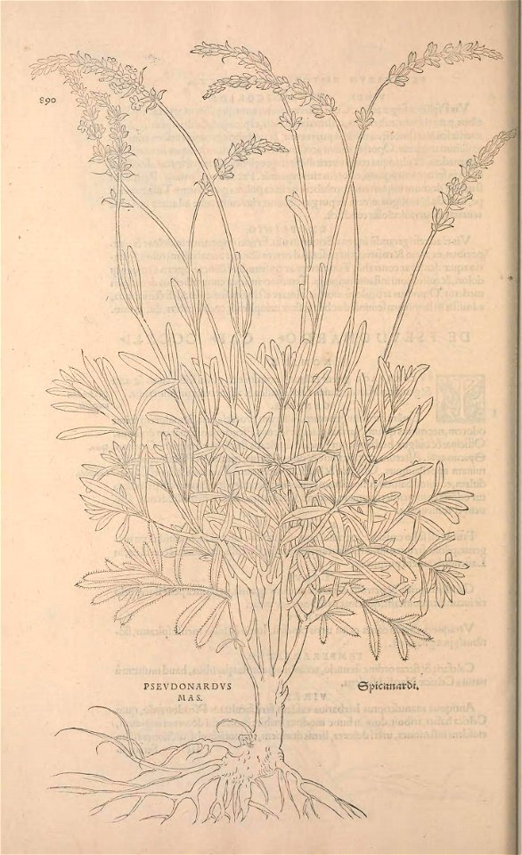 n923_w1150