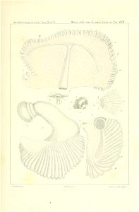 n182_w1150