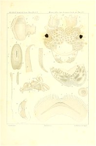 n152_w1150