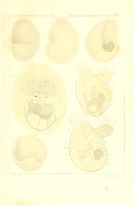 n296_w1150