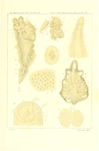 n266_w1150